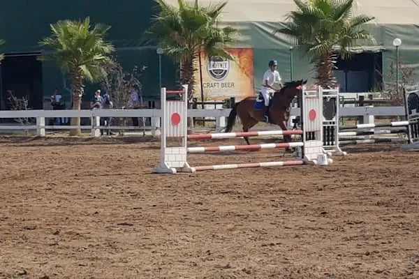 ABAK Antalya Binicilik ve Atlı Spor Kulübü - Resim 19