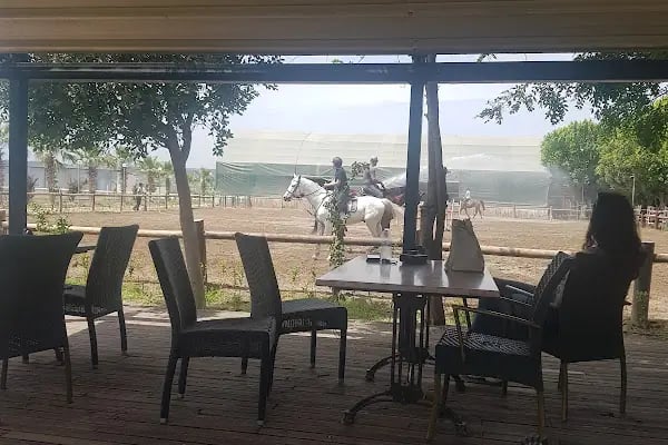 ABAK Antalya Binicilik ve Atlı Spor Kulübü - Resim 15