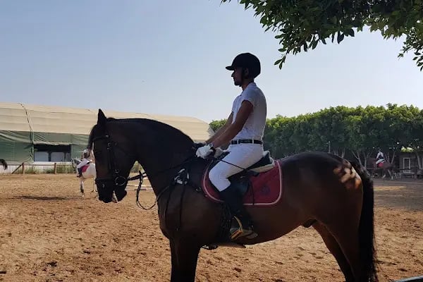 ABAK Antalya Binicilik ve Atlı Spor Kulübü - Resim 14