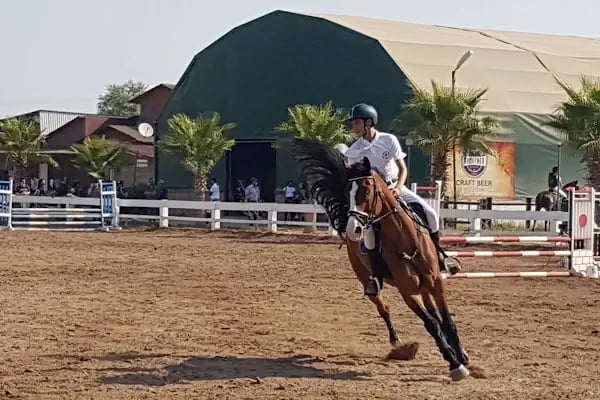 ABAK Antalya Binicilik ve Atlı Spor Kulübü - Resim 8