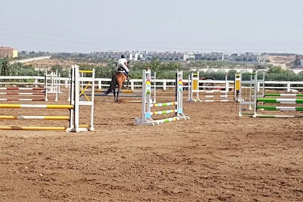 ABAK Antalya Binicilik ve Atlı Spor Kulübü - Resim 11