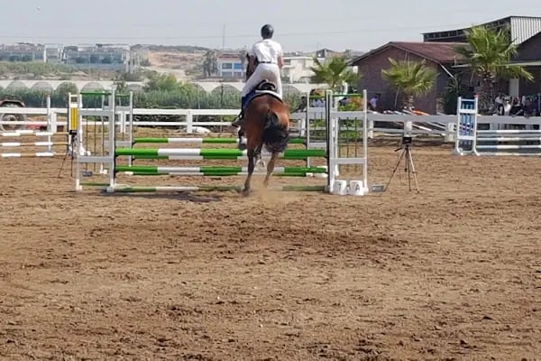 ABAK Antalya Binicilik ve Atlı Spor Kulübü - Resim 2