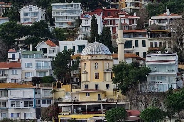 Sait Faik Abasıyanık Müzesi - Resim 12