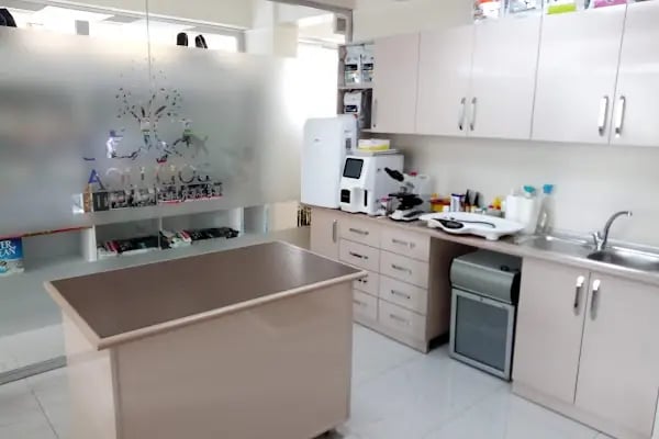 Bolluca Veteriner Kliniği - Resim 18