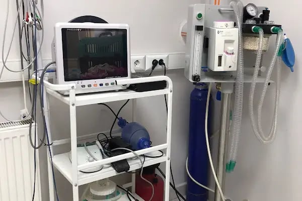 Bolluca Veteriner Kliniği - Resim 7