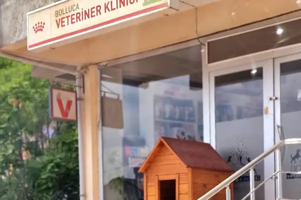 Bolluca Veteriner Kliniği - Resim 13