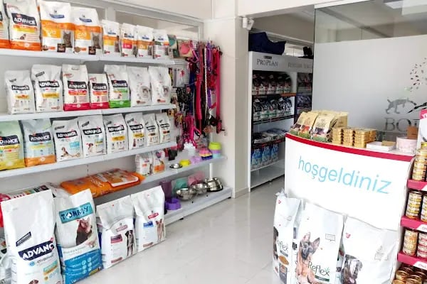 Bolluca Veteriner Kliniği - Resim 17