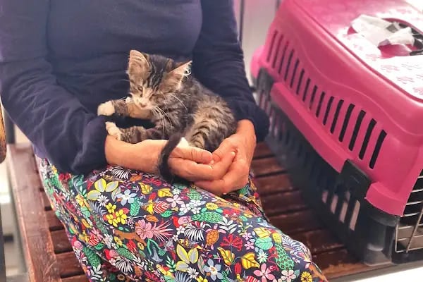 Bolluca Veteriner Kliniği - Resim 8