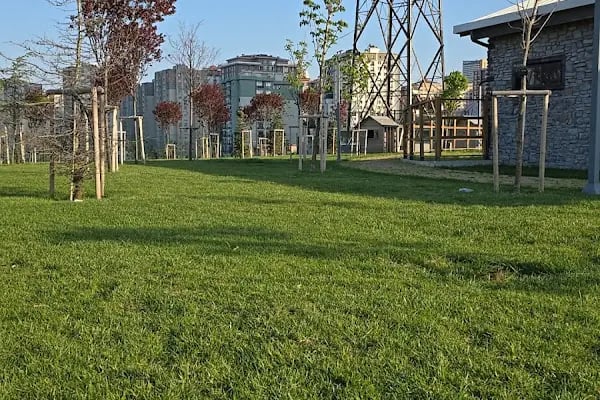 Esenyurt Belediyesi At Binicilik Tesisleri - Resim 11