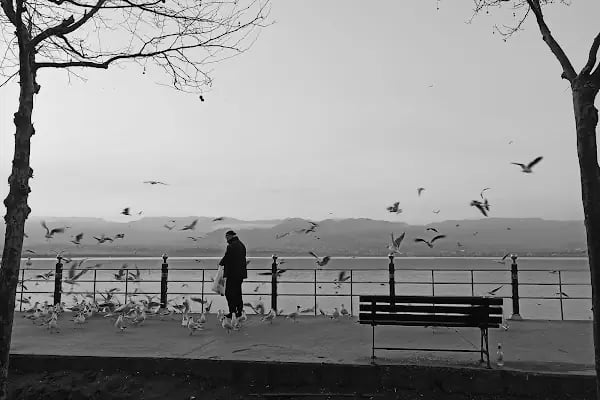 Sahil Otopark - Resim 8