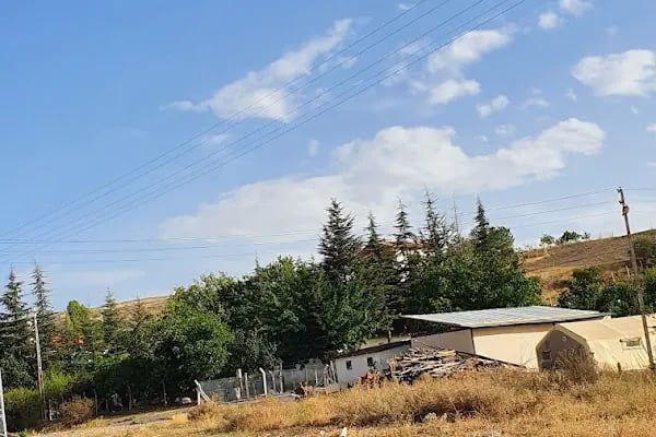 Evci Köyü Cami - Resim 3