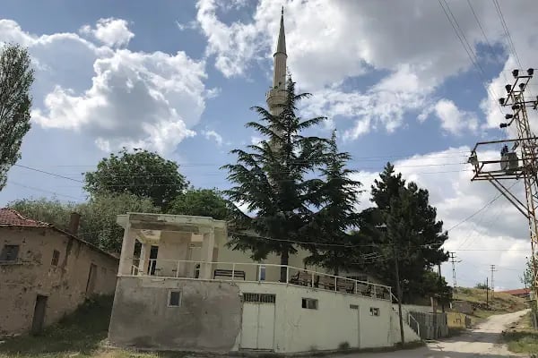 Evci Köyü Cami - Resim 6