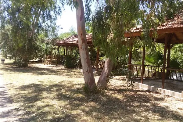 Osay Camping - Resim 19