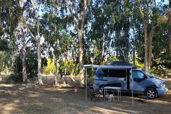 Osay Camping - Resim 18