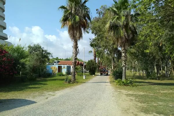 Osay Camping - Resim 20