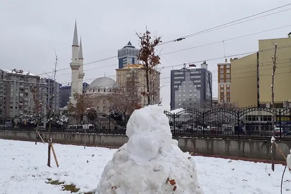 Meşe Parkı - Resim 17