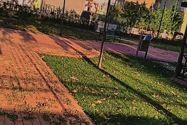 Meşe Parkı - Resim 20