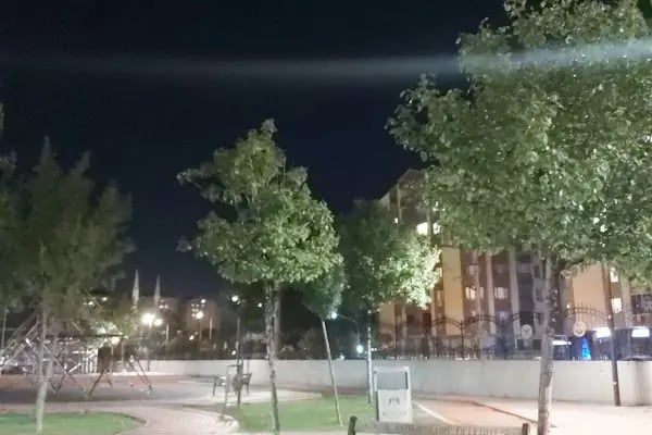 Meşe Parkı - Resim 14