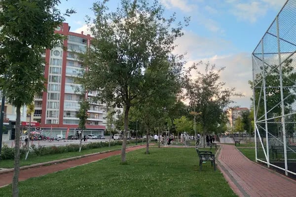Meşe Parkı - Resim 2
