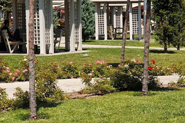 Meşe Parkı - Resim 6