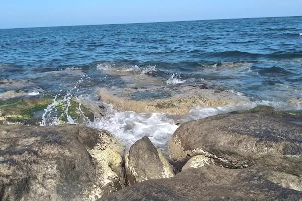 Papara Park - Resim 14