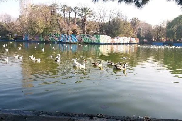 Kaskatlı Havuz - Resim 4
