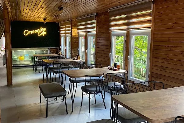 Ormanika Kahvaltı Alabalık ve Kamp Tesisi - Resim 4