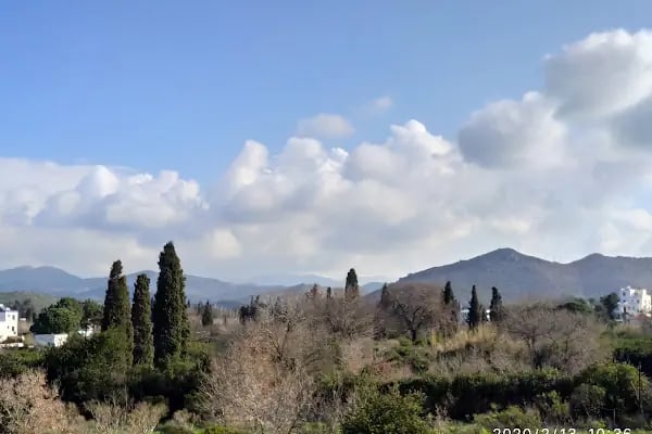 GoldenPalmEvleri - Resim 16