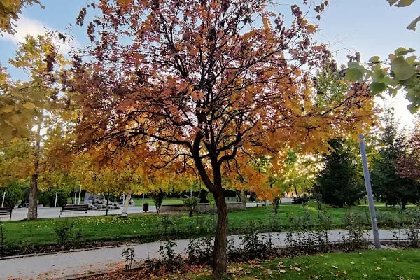 ABB Köroğlu Parkı - Resim 5