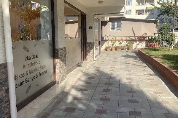 Bursa Görükle Pet Town Pet Kuaför - Resim 16