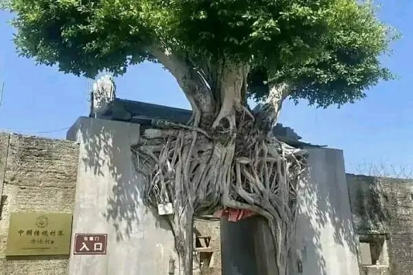 Ukrayna İstanbul Başkonsolosluğu - Resim 14