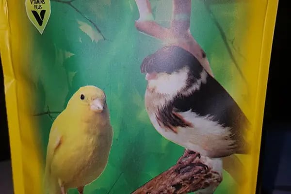 Emre pet shop - Resim 13