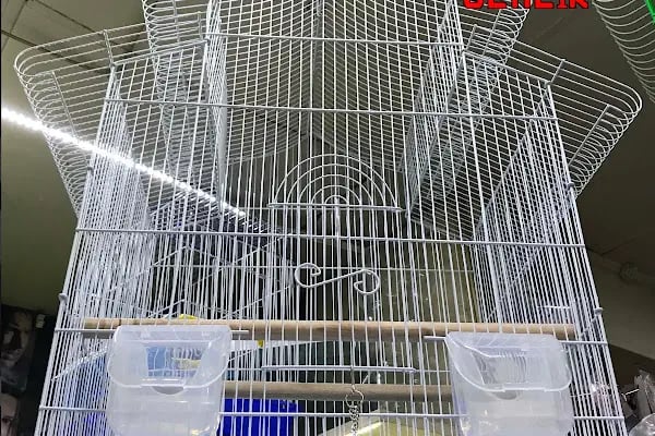 Emre pet shop - Resim 9
