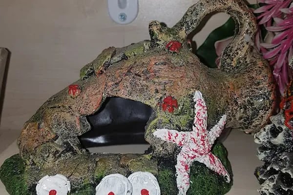 Emre pet shop - Resim 8