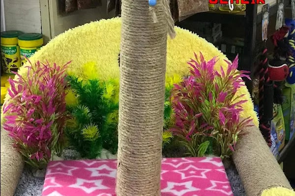 Emre pet shop - Resim 11