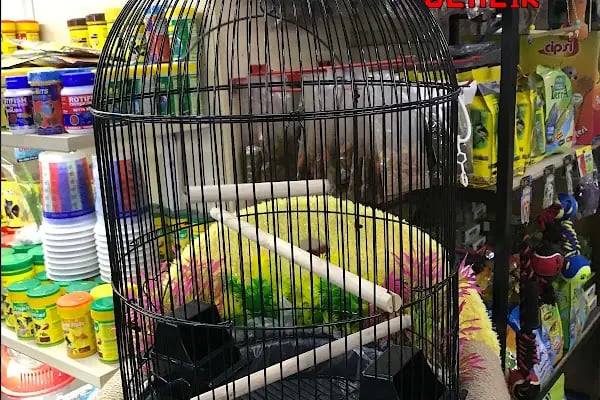 Emre pet shop - Resim 3