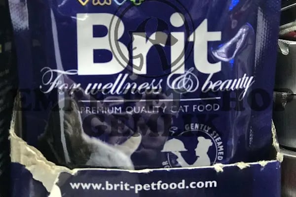 Emre pet shop - Resim 18