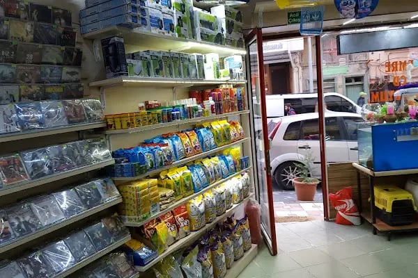 Emre pet shop - Resim 17
