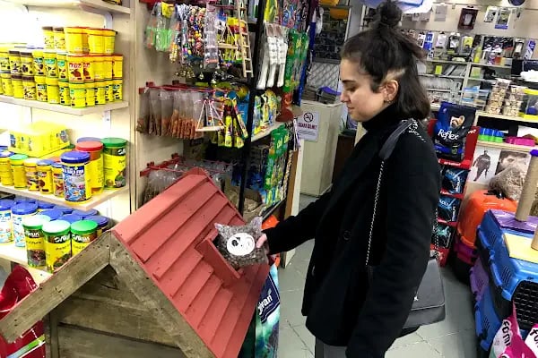 Emre pet shop - Resim 12