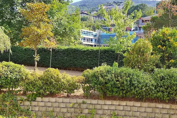 Romatem Bursa Fizik Tedavi ve Rehabilitasyon Hastanesi - Resim 16