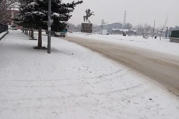 Kars Şehir Stadyumu - Resim 12