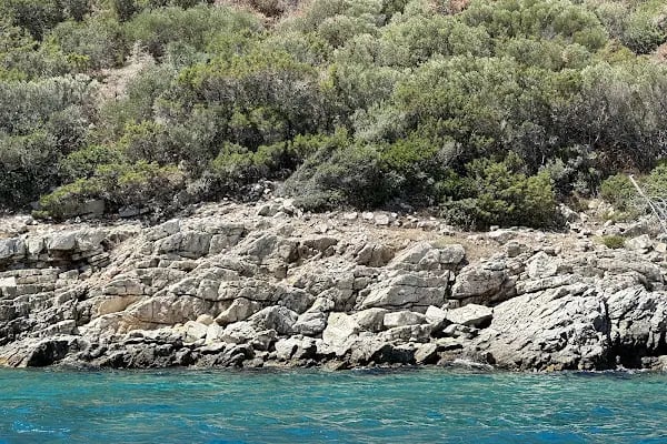 Bodrum Orak Adası Tekne Turu I Bodrumdayız - Resim 14