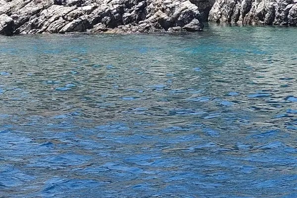 Bodrum Orak Adası Tekne Turu I Bodrumdayız - Resim 9