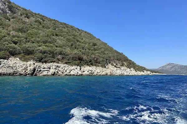Bodrum Orak Adası Tekne Turu I Bodrumdayız - Resim 5