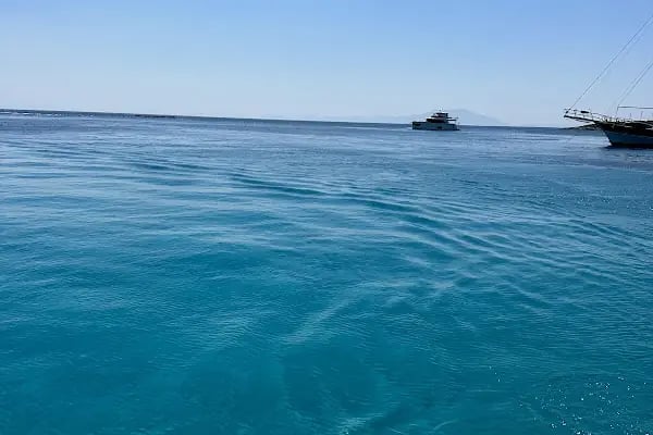 Bodrum Orak Adası Tekne Turu I Bodrumdayız - Resim 10