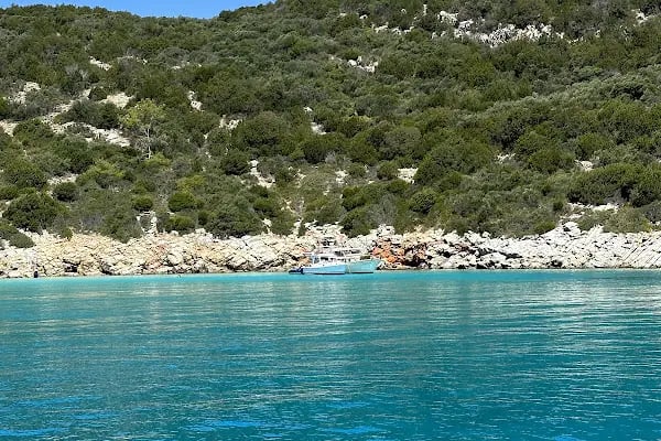 Bodrum Orak Adası Tekne Turu I Bodrumdayız - Resim 20