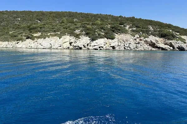 Bodrum Orak Adası Tekne Turu I Bodrumdayız - Resim 18