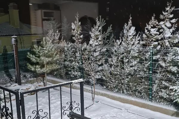 Kızılören Orman Evleri - Resim 13
