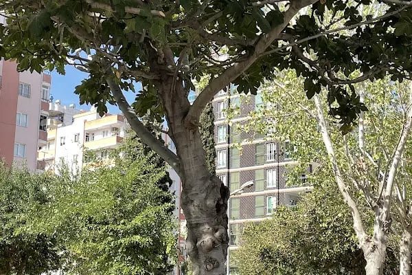 Adana Rotary Kulübü Sevgi Çocuk Parkı - Resim 17