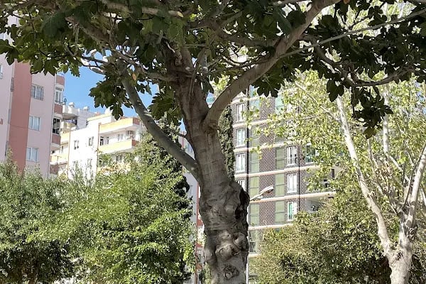Adana Rotary Kulübü Sevgi Çocuk Parkı - Resim 14